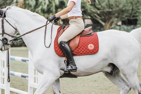 hermes equestre scarf|Hermes vivace saddle.